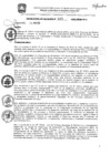 Vista preliminar de documento res_322_2020