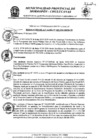 Vista preliminar de documento res_305_2020