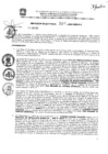 Vista preliminar de documento res_330_2020