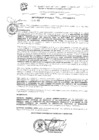 Vista preliminar de documento res_411_2020