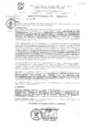 Vista preliminar de documento res_413_2020