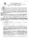 Vista preliminar de documento res_425_2020