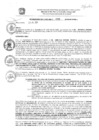 Vista preliminar de documento res_433_2020