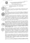 Vista preliminar de documento res_432_2020