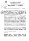 Vista preliminar de documento res_461