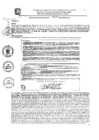 Vista preliminar de documento res_489_2020