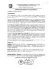 Vista preliminar de documento res_483_2020