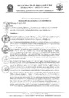 Vista preliminar de documento res_371_2020