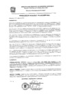 Vista preliminar de documento res_484_2020