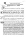 Vista preliminar de documento res_960_2020