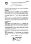 Vista preliminar de documento res_325_2020