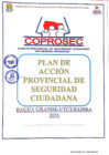 Vista preliminar de documento Plan de Acción Provincial de Seguridad Ciudadana de Utcubamba.pdf