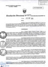 Vista preliminar de documento RD103-minagri-dvdiar-pebpt.de.pdf