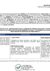 Vista preliminar de documento Matriz de comentarios