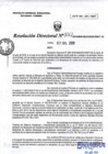 Vista preliminar de documento RD62-minagri-dvdiar-pebpt.de.pdf
