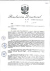 Vista preliminar de documento RD_2017_105_COPESCO