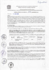 Vista preliminar de documento resol-2016-542