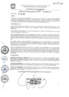 Vista preliminar de documento resolucion_n_381_06_07_2017