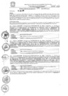 Vista preliminar de documento resolucion_alcaldia_n_397_20_07_2017