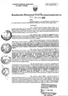 Vista preliminar de documento RD19-minagri-dvdiar-pebpt.de.pdf