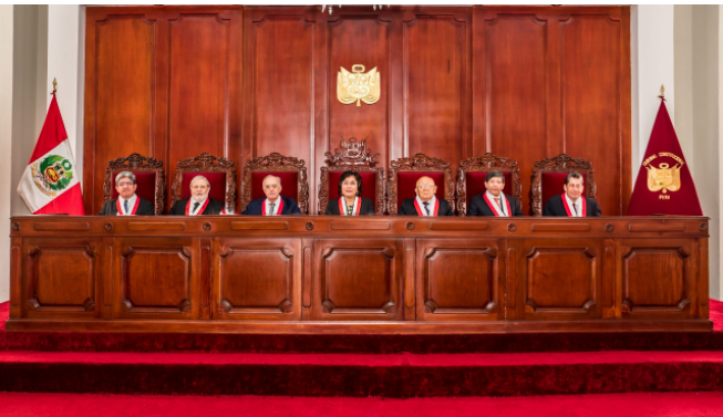 Pleno del Tribunal Constitucional.