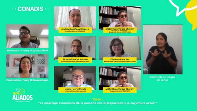 En la imagen están 9 personas que participan en el evento. Son los ponentes del conversatorio  “La inserción económica de la persona con discapacidad y la coyuntura actual”. El fondo es verde y las personas están cada en un recuadro.
