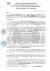 Vista preliminar de documento Resolución Gerencial N° 037-2021-MPH-GTTSV