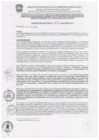 Vista preliminar de documento decreto_alcaldia_011_2015_mpm-ch