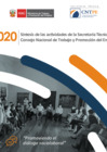 Vista preliminar de documento BROCHURE ST-CNTPE 2020