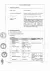 Vista preliminar de documento Ficha de Homologación Parte ocho