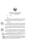 Vista preliminar de documento RS 031-2019-SUNAFIL.PDF.pdf