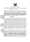Vista preliminar de documento RDR_029_2019_OREI.pdf