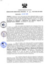 Vista preliminar de documento RDR_025_2019_OREI.pdf