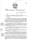 Vista preliminar de documento RD_2017_251_COPESCO