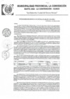 Vista preliminar de documento RGM-160-2021-GM-MPLC