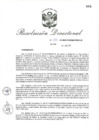Vista preliminar de documento RD_2017_266_COPESCO