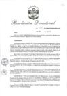 Vista preliminar de documento RD_2017_271_COPESCO