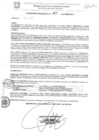 Vista preliminar de documento resolucion_n_385_10_07_2017