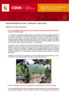 Vista preliminar de documento Boletín Informativo de Emergencias Nº 2020