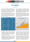 Vista preliminar de documento RCR Tumbes 2020 actualizado 27/04/21