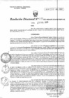 Vista preliminar de documento RD_0039.PDF
