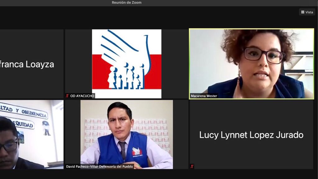 Imagen de pantalla de reunión zoom