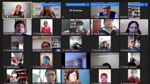 Imagen de pantalla de reunión por zoom