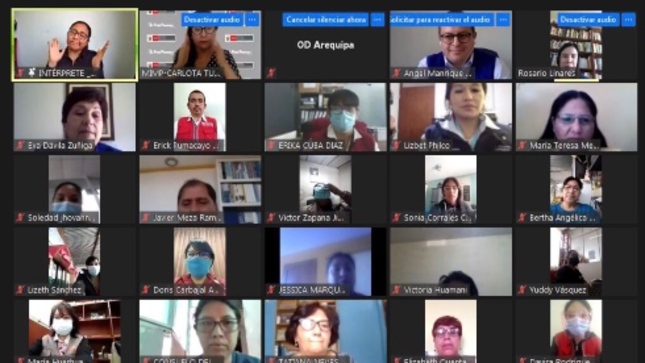 Imagen de pantalla de reunión por zoom