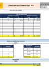 Vista preliminar de documento Consumo total de gasolina - Febrero 2021