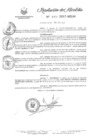Vista preliminar de documento R.A. 343-2017-MDJH