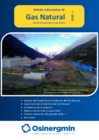 Vista preliminar de documento Boletín Informativo de Gas Natural 2020-I.pdf