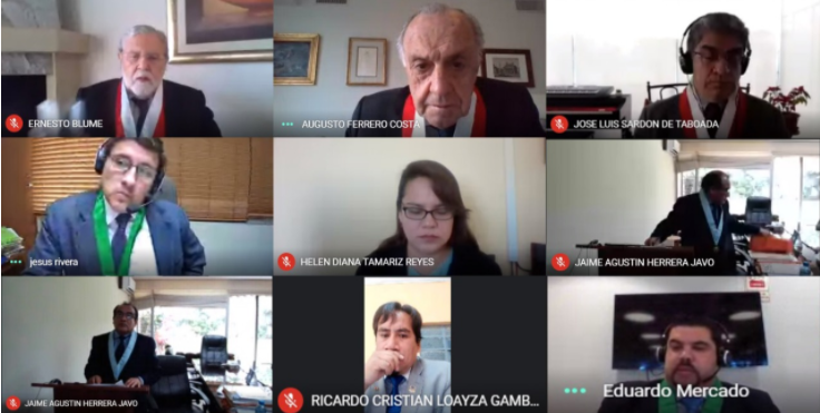 Segunda Sala, primera audiencia pública remota.
