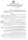 Vista preliminar de documento RDS-263-2019-GRL-GRDE-DRA