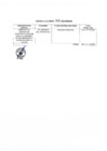 Vista preliminar de documento ANEXO